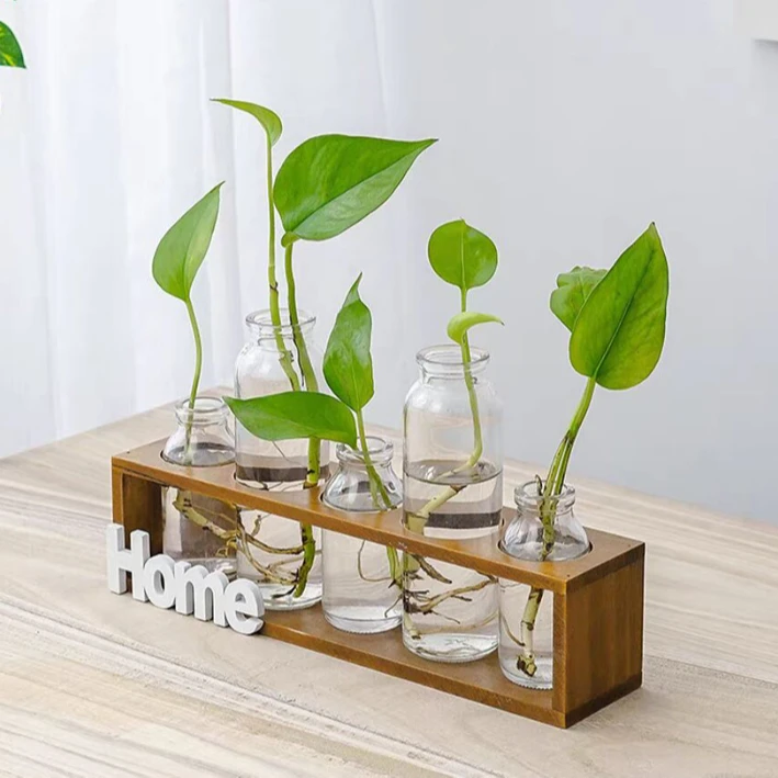 花瓶ins风高颜值创意绿萝水培玻璃插花小花瓶办公室房间桌面摆件