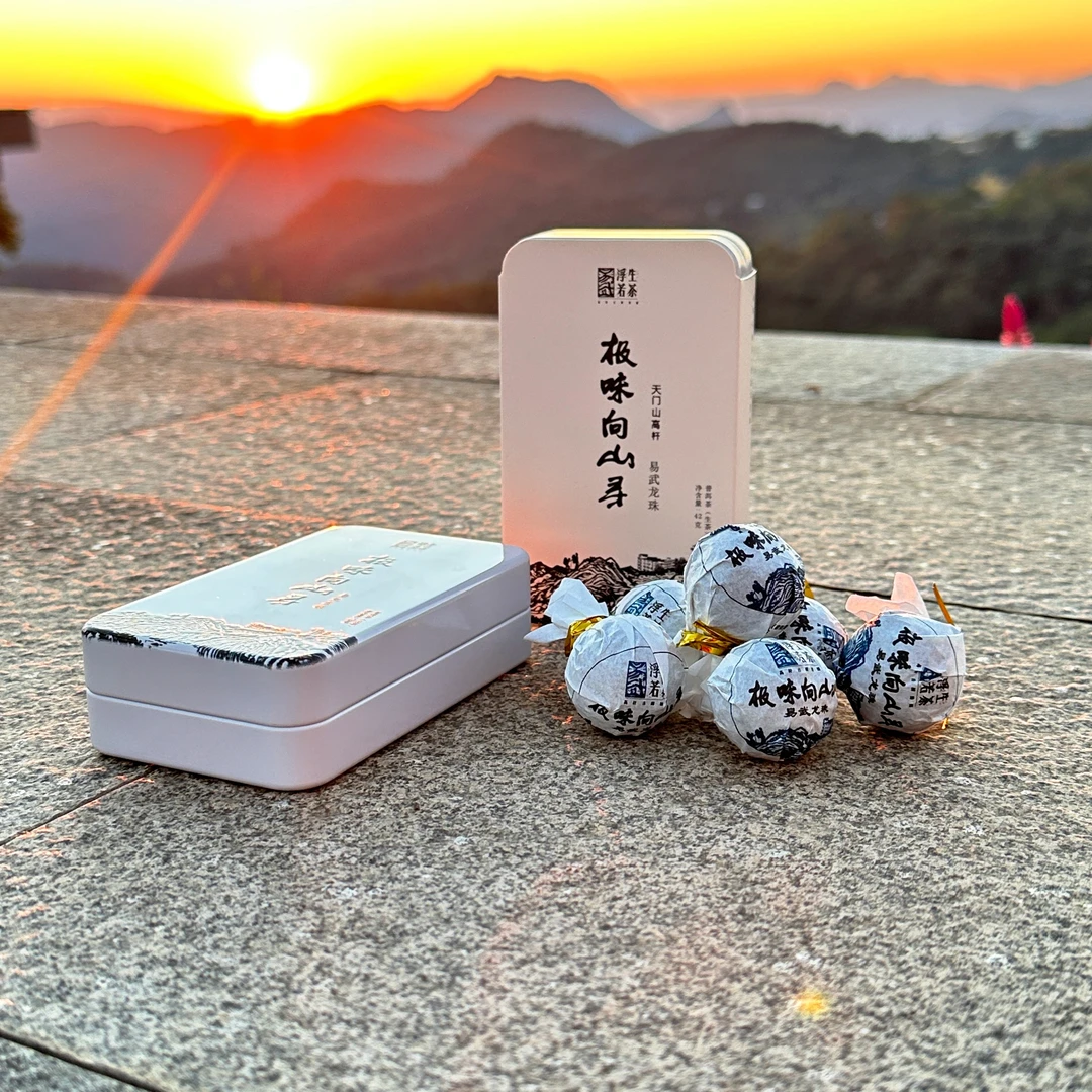 易武浮生若茶2024年天门山高杆古树单株龙珠（普洱生茶）