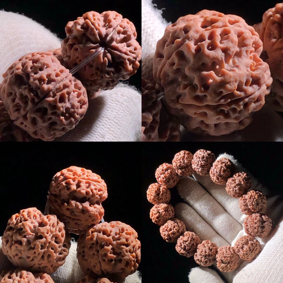 原生态大金刚菩提.烛龙，5瓣21mm左右，大金刚手串