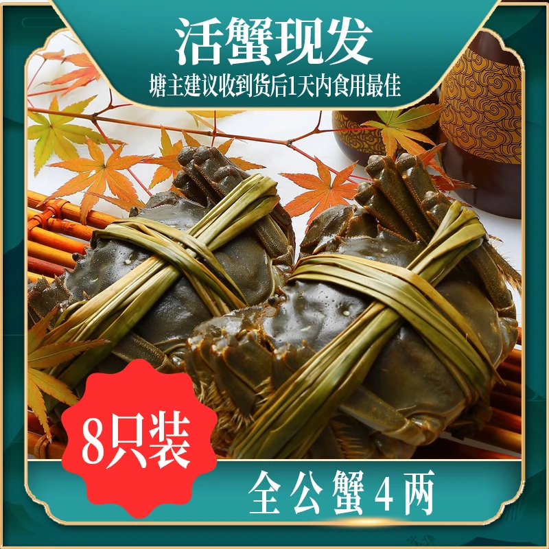 【顺丰冷链】全公蟹4两8只装 活蟹现发 鲜活 死蟹包赔大闸蟹 螃蟹