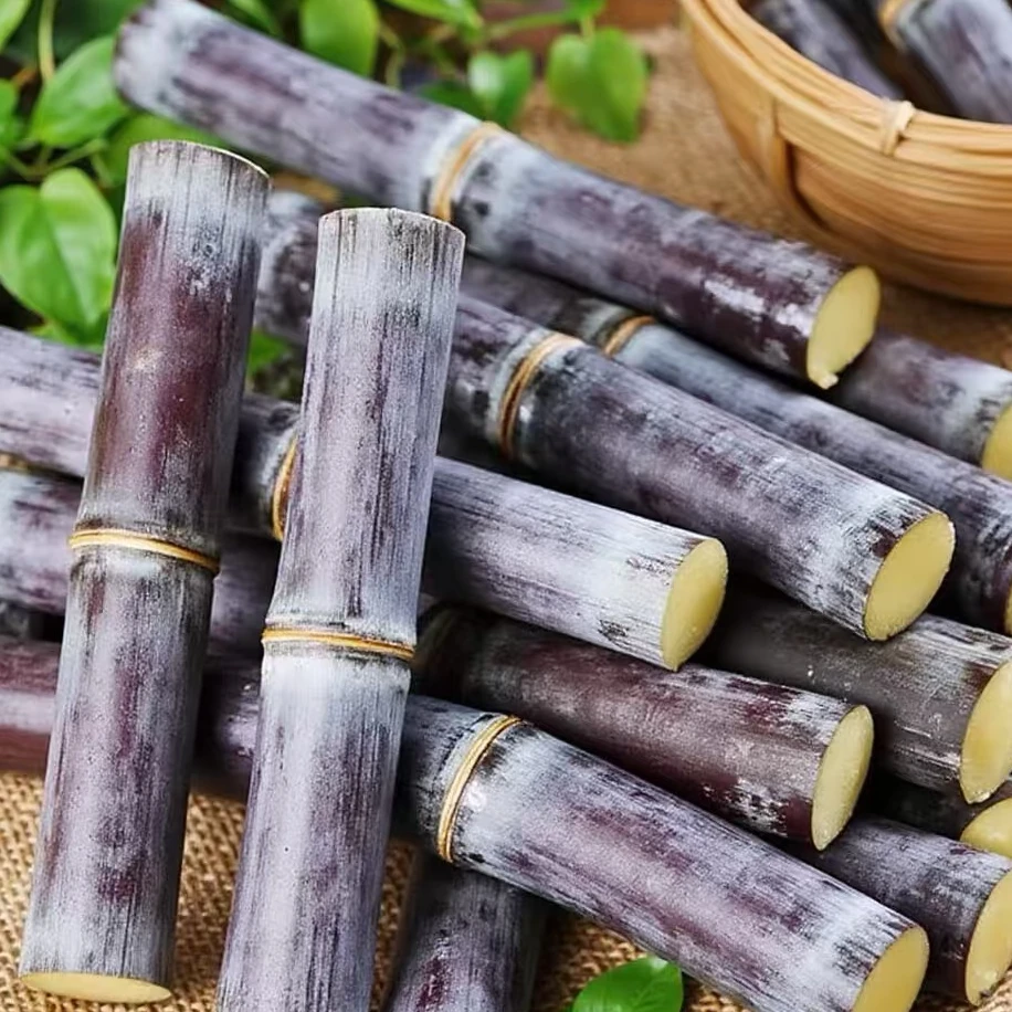 广西黑皮甘蔗 当季鲜果 脆甜多汁