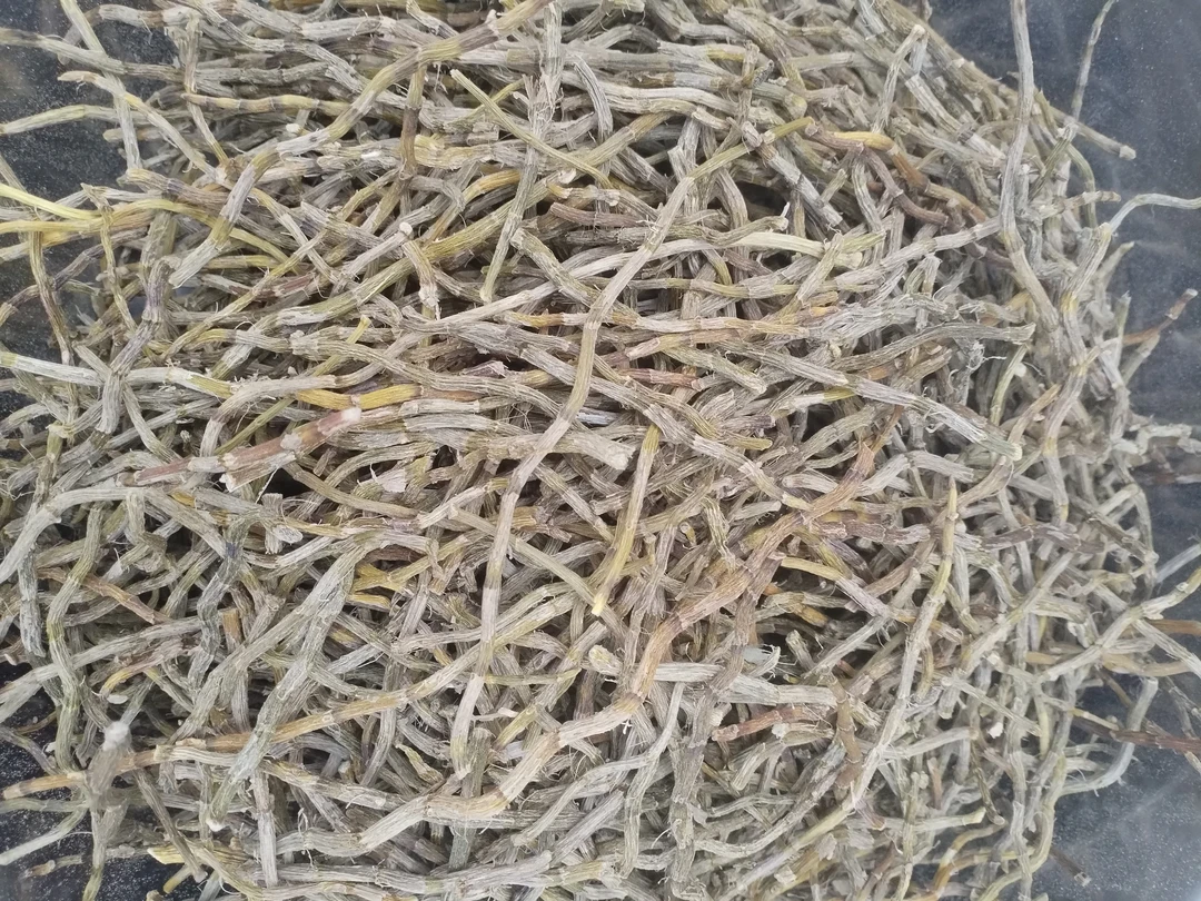 农家土特产≈[≈糊≈]非香菇