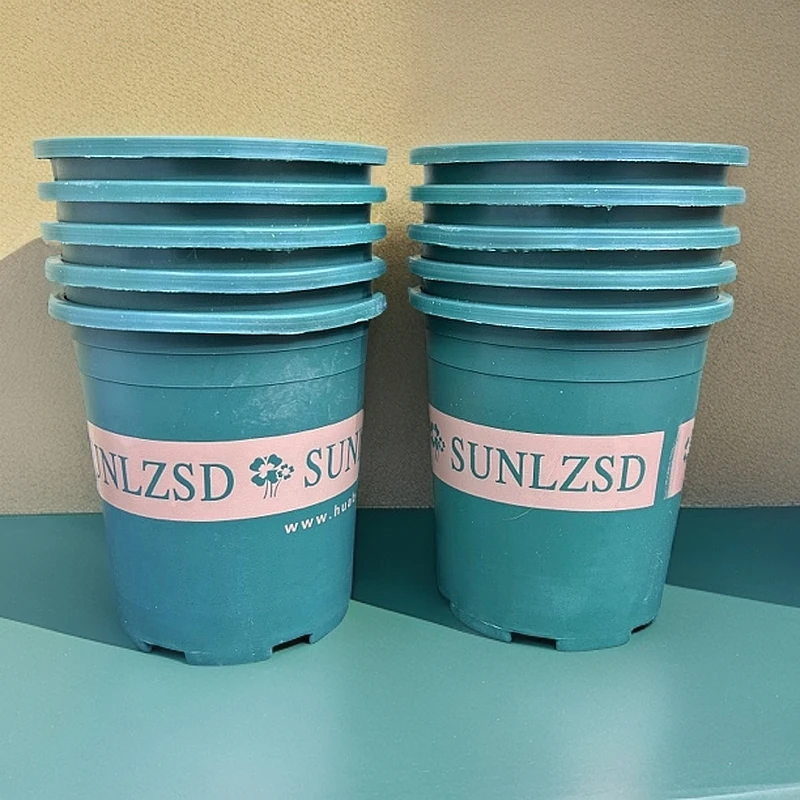 10个加厚【口径15.8高17左右】新款1加仑带托盘