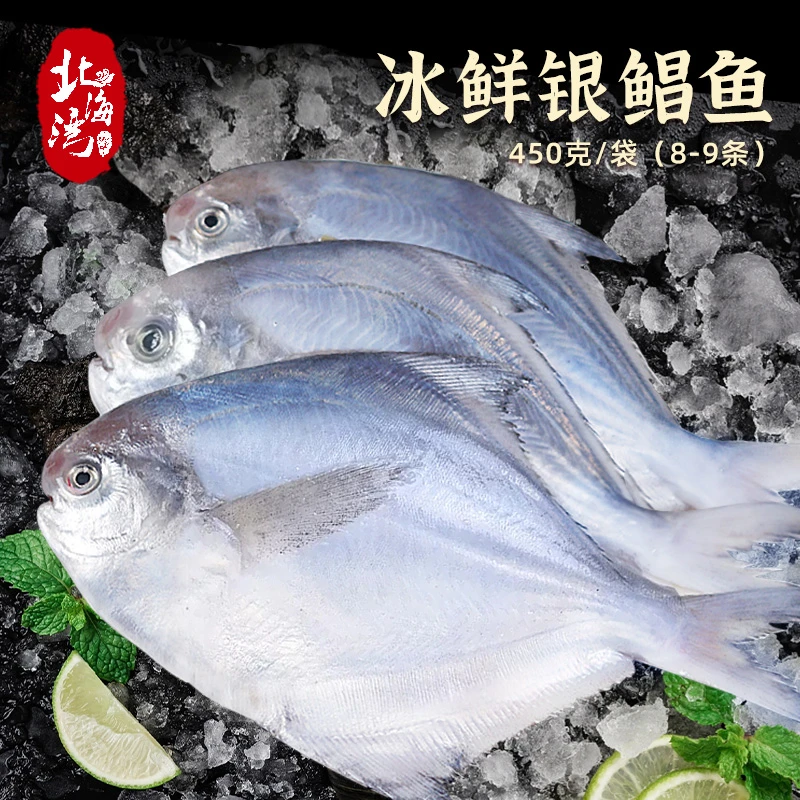 【北海湾】银鲳鱼 450g（8-9条）*5袋新鲜冷冻海鲜水产红烧清蒸