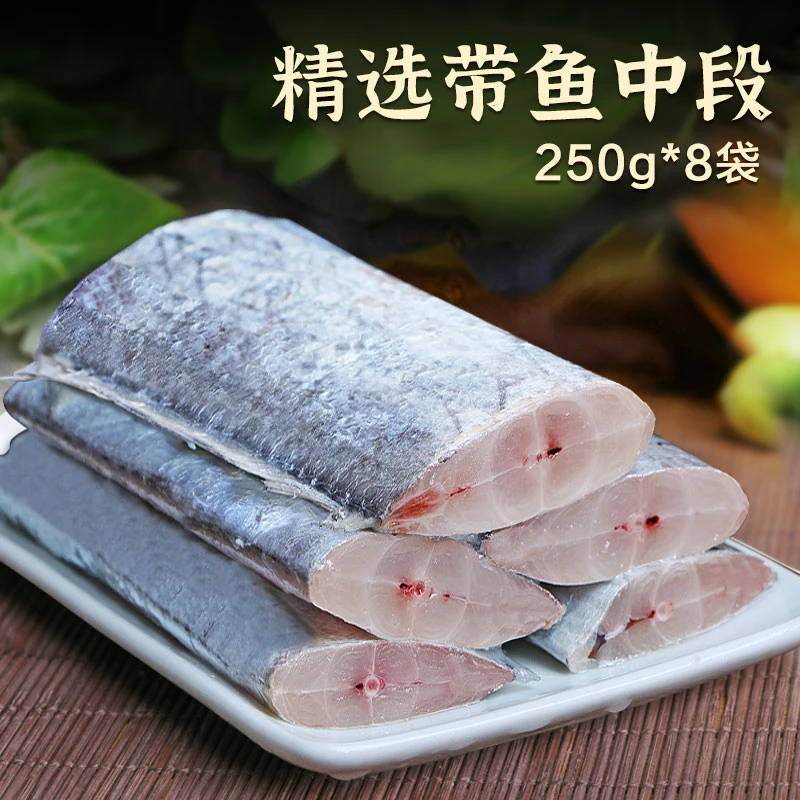 带鱼段去头去尾 新鲜速冻刀鱼段 中段肉厚250g*8袋
