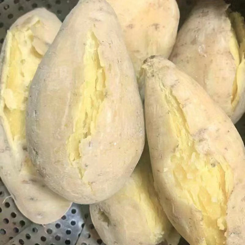 广东潮汕新鲜现挖白皮黄心板栗红薯软糯粉产地直发鸡蛋黄番薯瓜