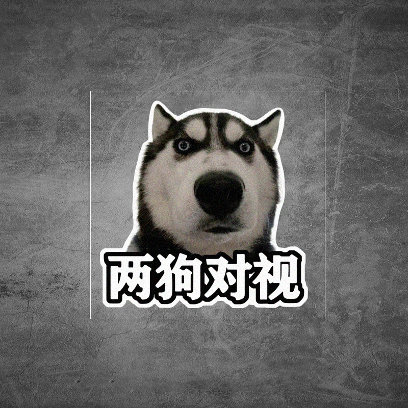 哈士奇表情两狗对视车贴搞笑表情包汽车贴纸后尾装饰个性防水贴画