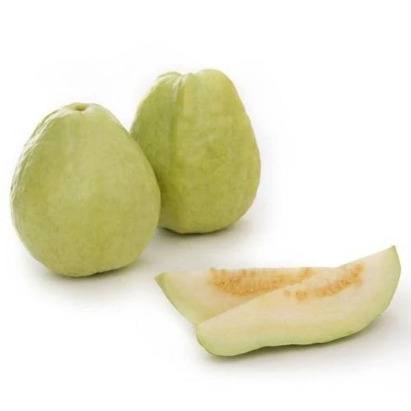 奶油芭乐1500-1800克