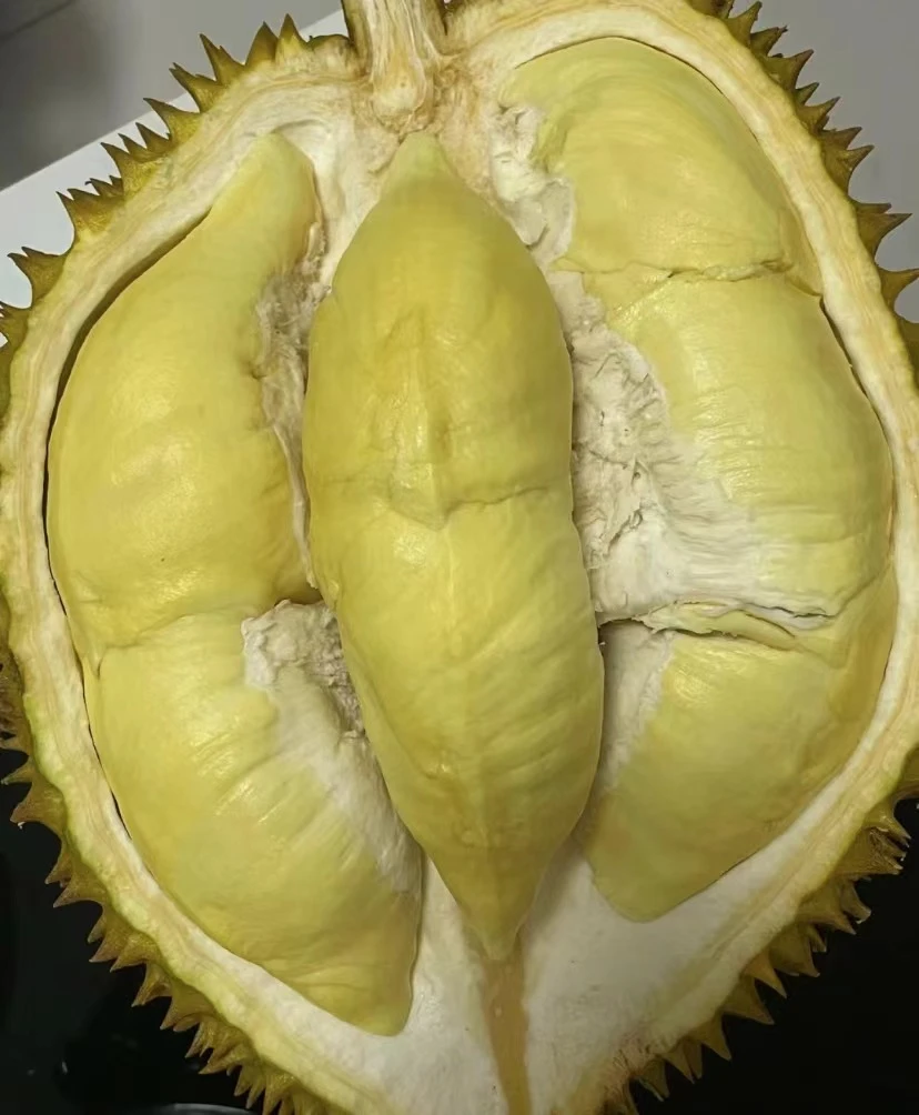 金枕榴莲【金枕树熟】高品质老树金枕榴莲 软糯香甜 口感绵密 默认扒开榴莲同城送