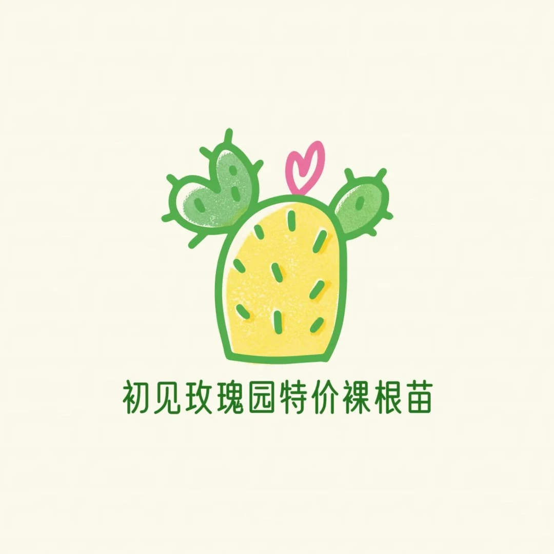 龙游初见玫瑰园 特价裸根大苗