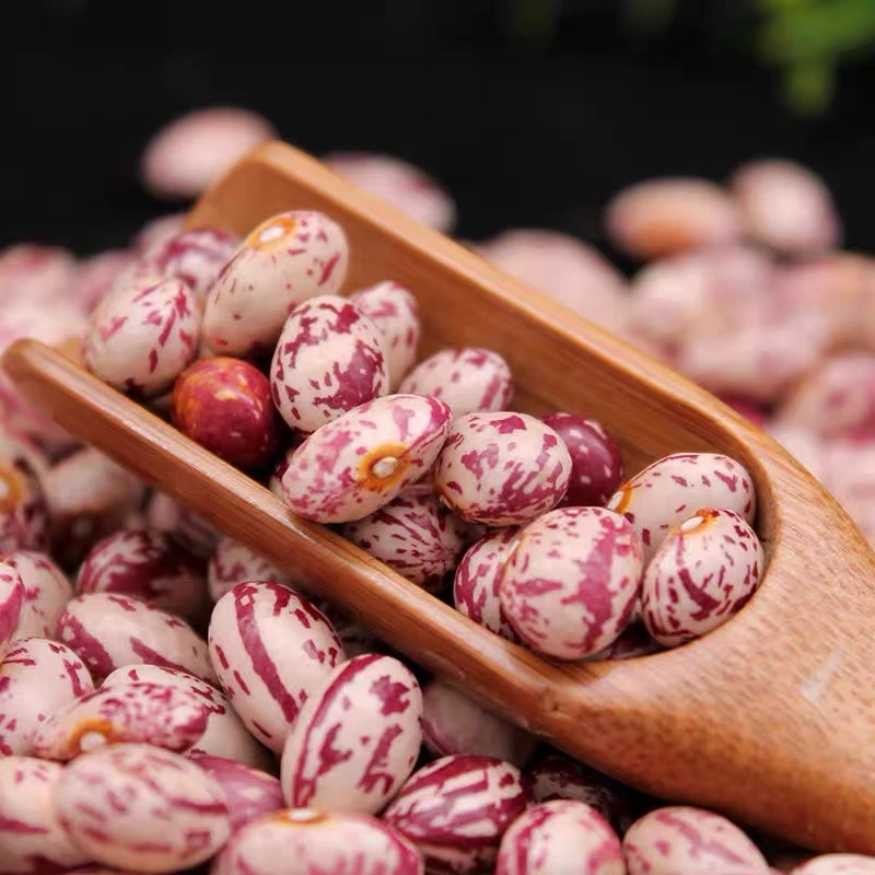 贵州农家本地【花豆】