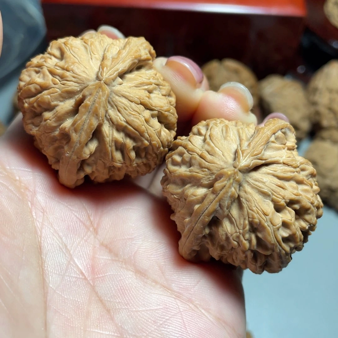 核桃核雕精品白狮子39