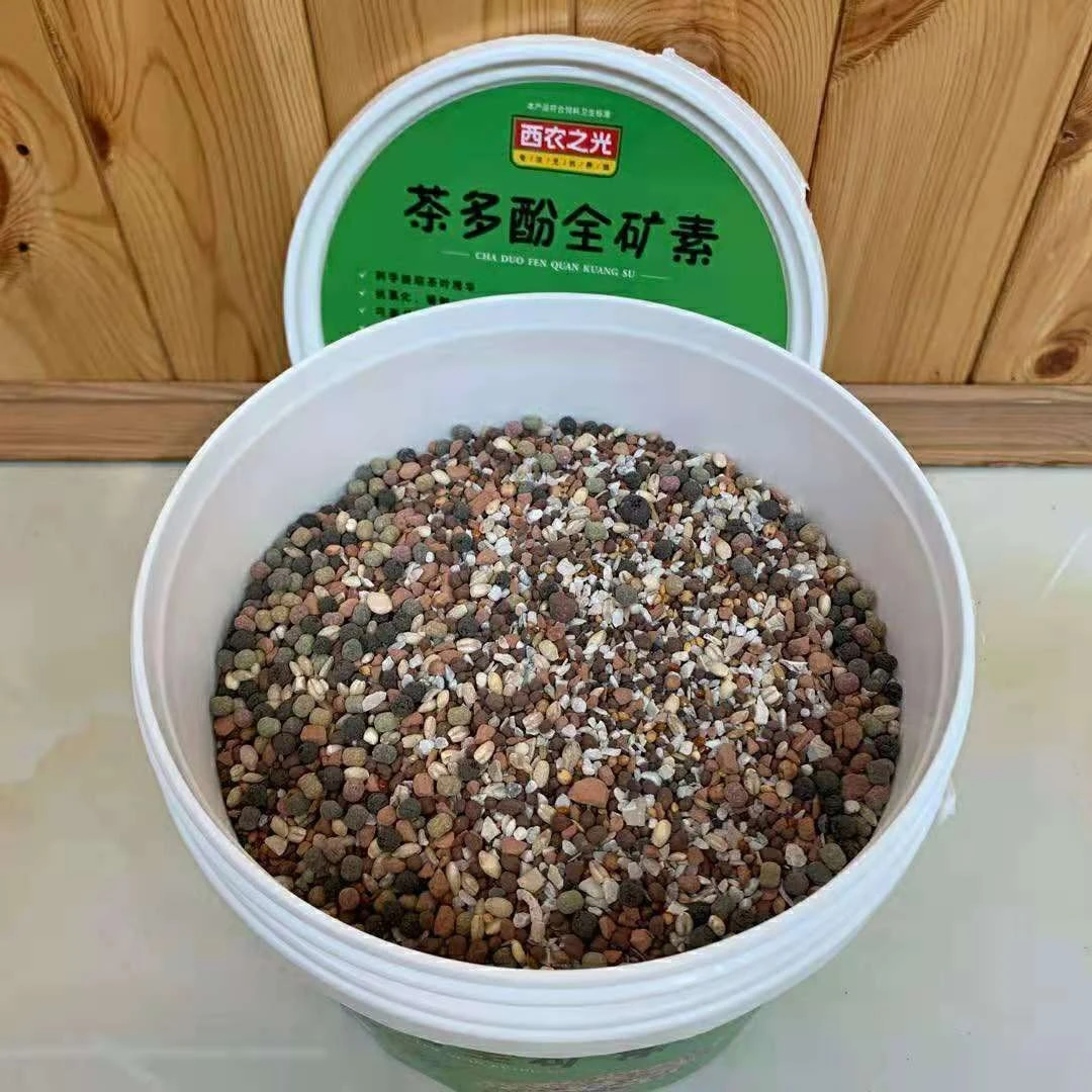 西农之光全矿速赛鸽信鸽用品鸽子零食