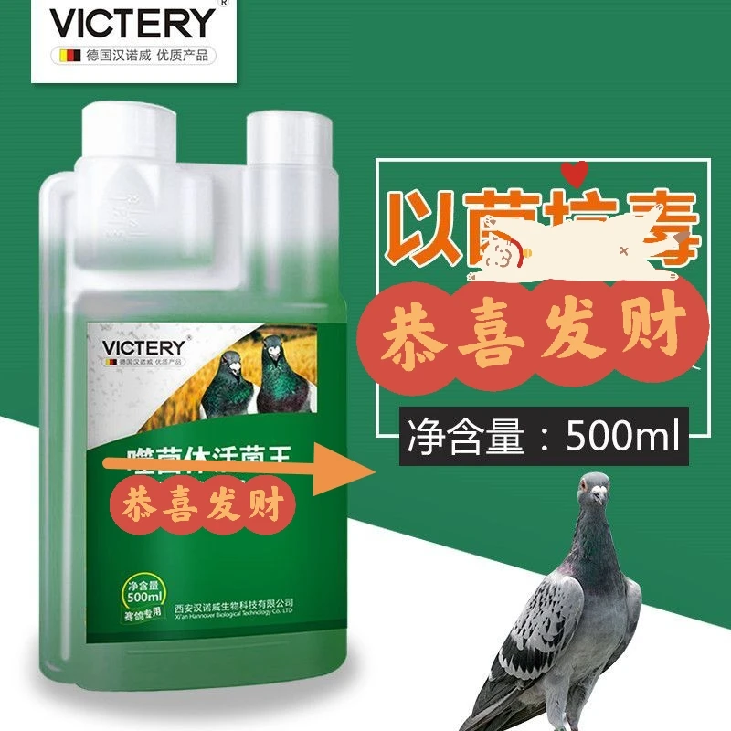 汉诺威噬麕体活麕王鸽子信鸽用品