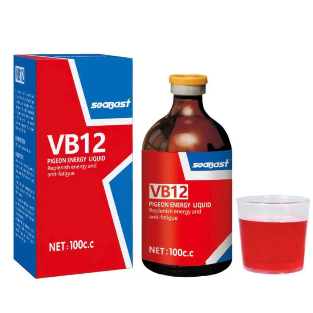 德国赛巴斯维b12赛鸽信鸽鸽子零食用品