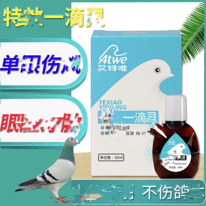 艾特一嘀鸽子零食赛鸽信鸽用品