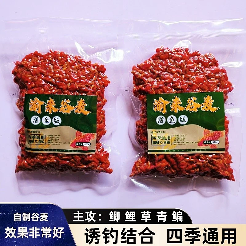 渝来自制谷麦饵料玉米麦子鱼饵打窝窝料诱钓结合四季通用鲫鲤草青