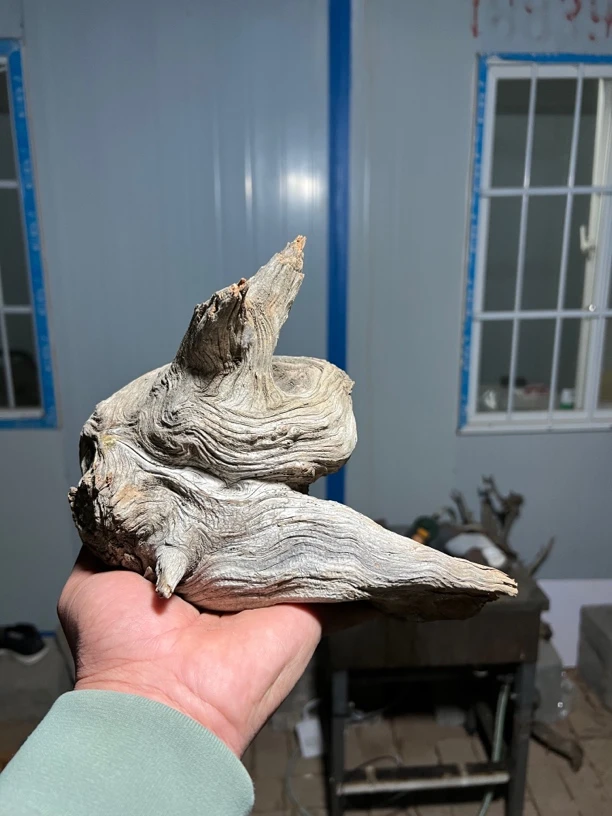 精品根雕摆件大坨子，特别的漂亮。工艺品雕刻