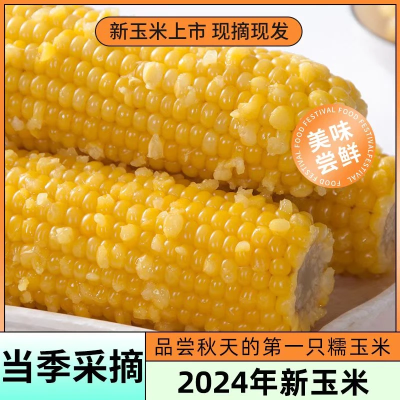 永胜黄糯玉米200g/棒 买8送2共10棒非转基因 真空装