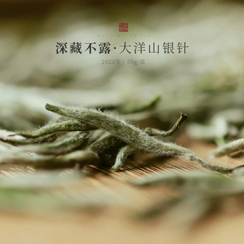 [直播专属]半天妖深藏不露2023年磻溪大洋山老树一级银针稻花香