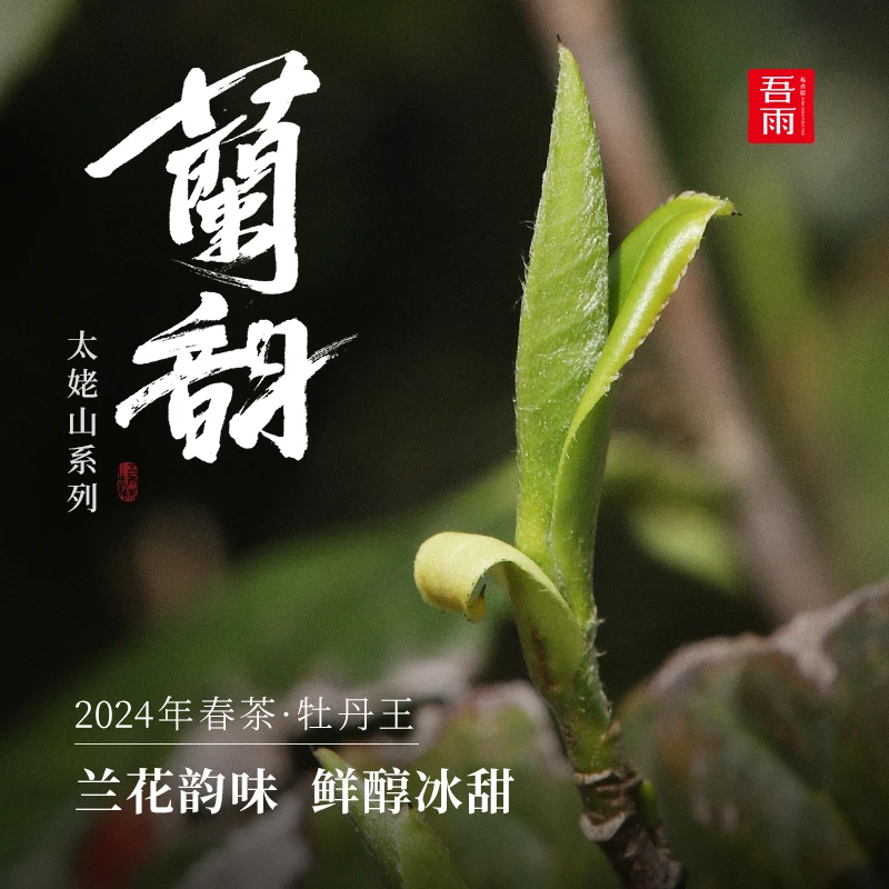 [直播专属]2024年春茶-兰韵·太姥山牡丹王幽兰花甜香冰糖甜