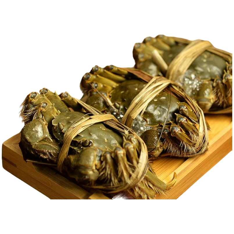 6只装大闸蟹，2.5两母