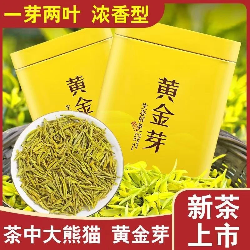 【新茶明前春茶】黄金芽嫩芽浓豆香耐泡鲜爽回甘高山绿茶礼罐装