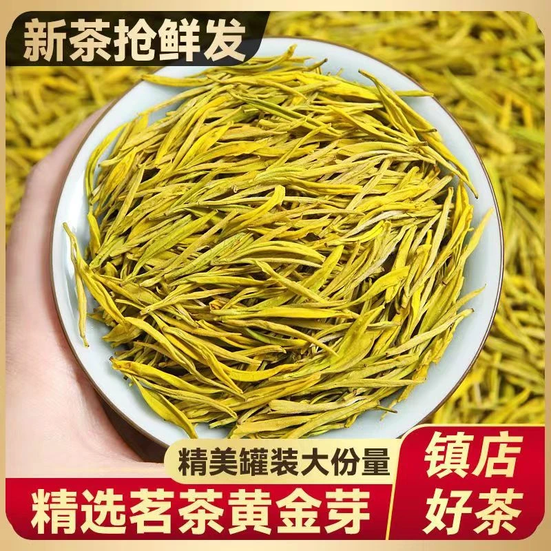 【新茶春茶黄金芽】珍稀新茶浓香型豆香味高山黄金芽绿茶口粮茶叶