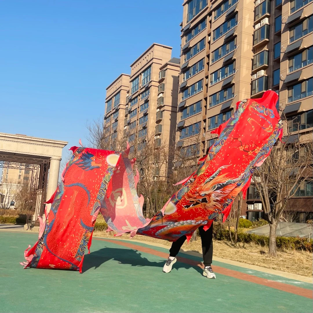 健身中国龙彩带龙舞龙比赛不锈钢镂空龙头精美龙衣全套8米套装