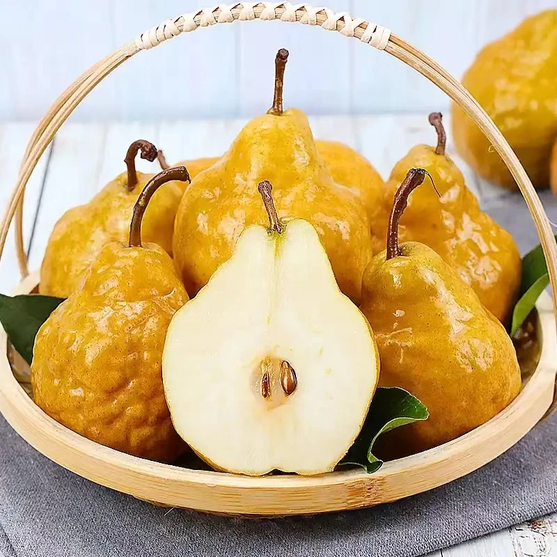 【放软吃】烟台正宗中华丑梨新鲜软糯香甜冰激凌啤梨子放软吃