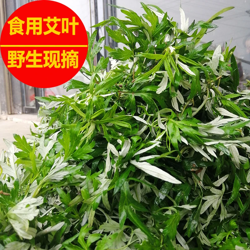 顺丰包邮新鲜食用冷冻蒿草蒿子艾蒿草糍粑艾粄野生艾草叶青团粑粑