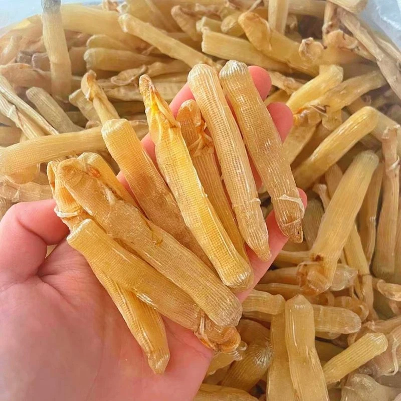 北海特产沙虫干煮粥煮汤干净无沙