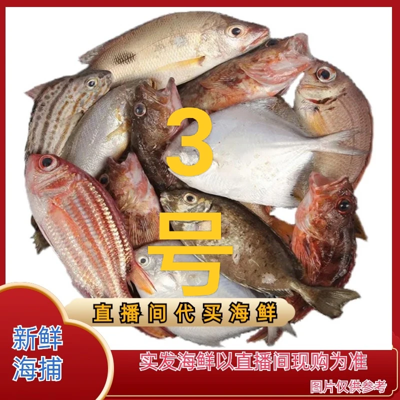 无品牌【十哥】３号连接北海码头直播代购海鲜现拍现称拼单5斤起发货