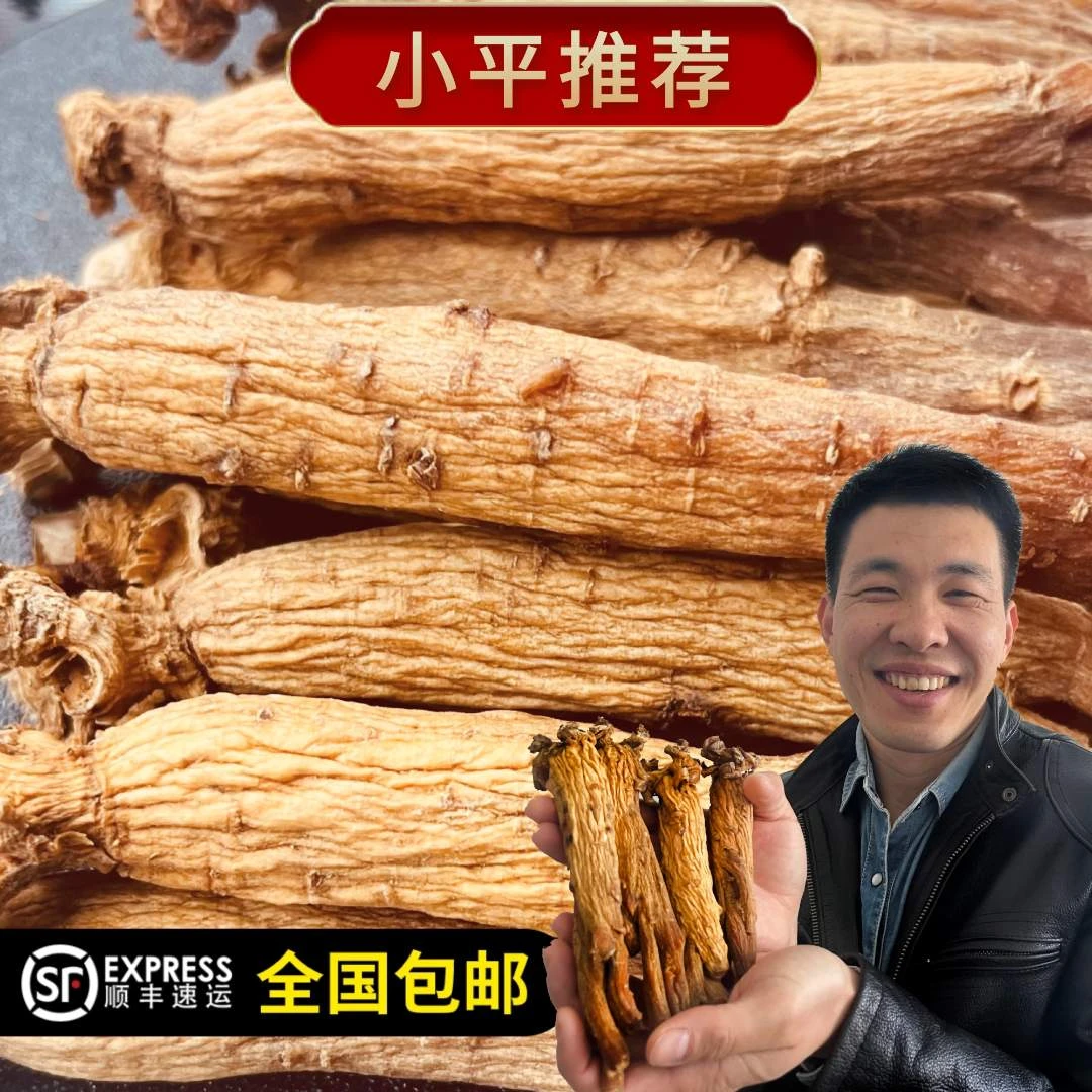 【小平推荐】高丽参黄马褂下山货16-17条可切片