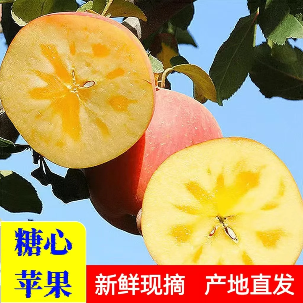 【黄土高坡苹果】3新鲜采摘冰糖心丑苹果脆甜多汁5/9斤红富士苹果