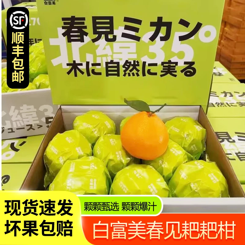 北京当日达】白富美耙耙柑四川爆浆春见7斤礼盒装当季丑桔子包邮