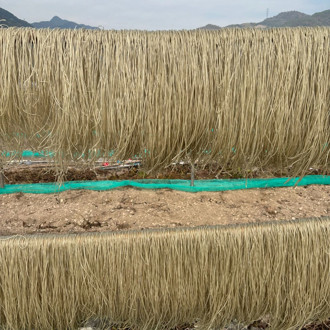 正宗红薯粉丝粉条火锅粉丝自然晾晒地瓜粉酸辣粉粉条东北粉条