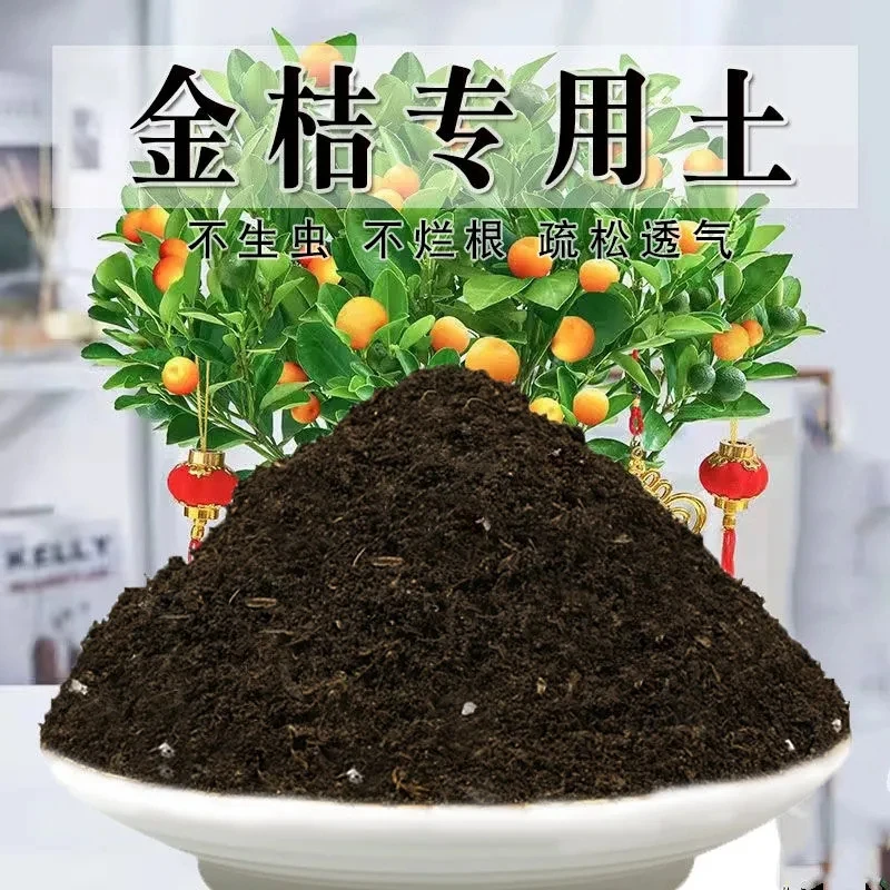 金桔专用土盆栽酸性土养花园艺家用营养土壤种植土有机土肥料通用