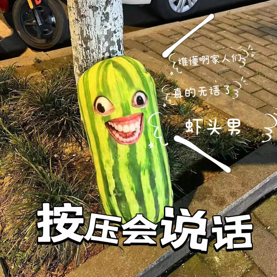 说话黄瓜家人们谁懂啊语音款长西瓜条搞笑毛绒玩具玩偶挂件下头男