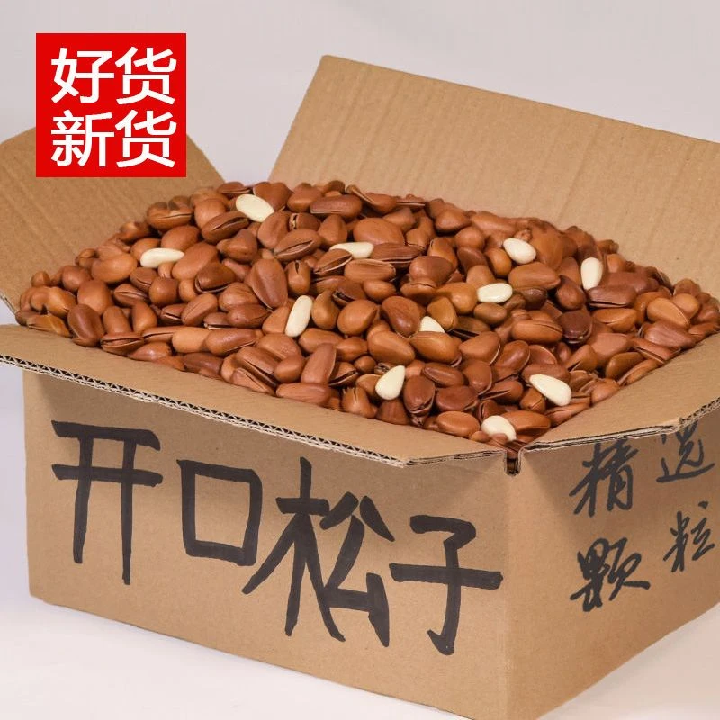新货大颗粒东北松子罐装500g/10g手剥原味东北松子坚果干营养零食