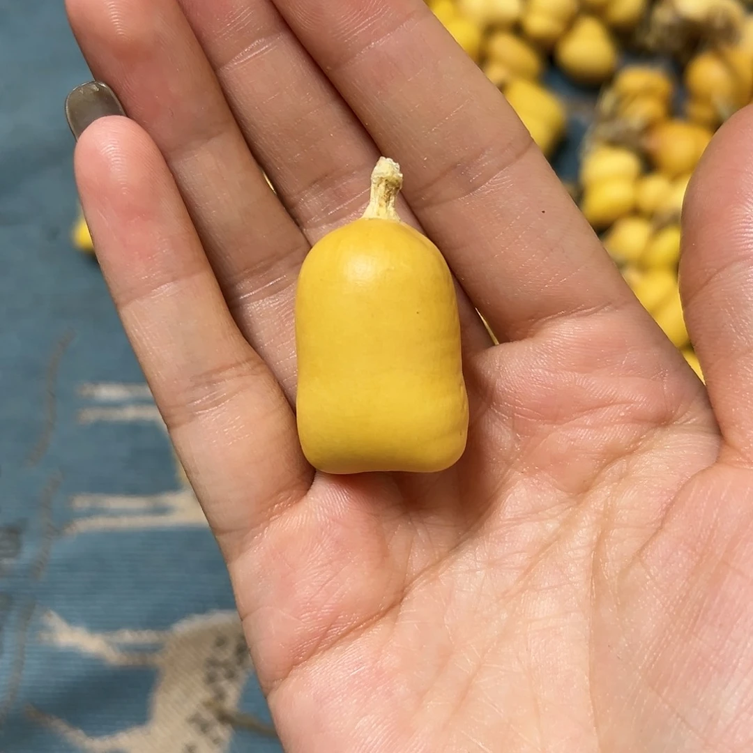 才****员葫芦葫芦葫芦葫芦