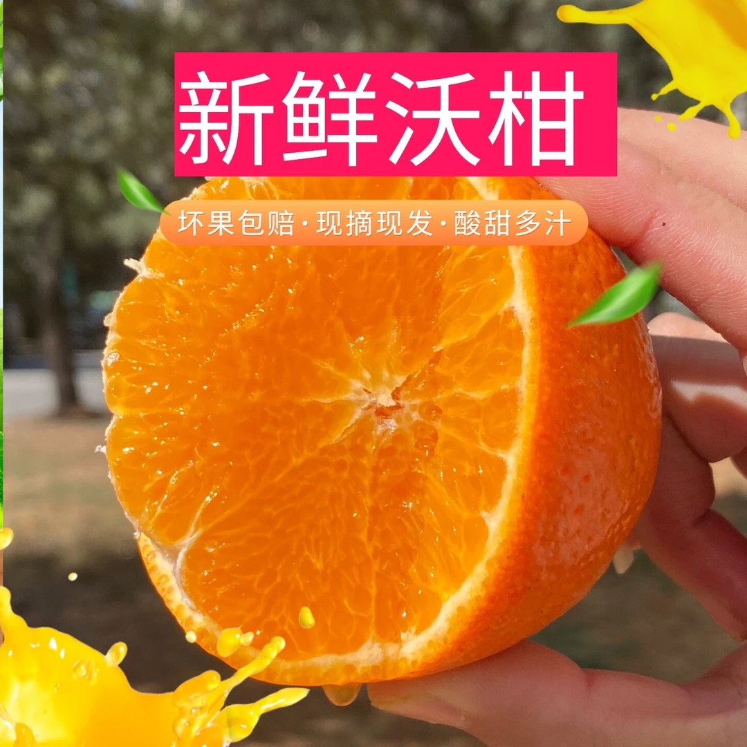 广西武鸣新鲜沃柑橘子清甜多汁应季水果产地直发新鲜包邮成熟