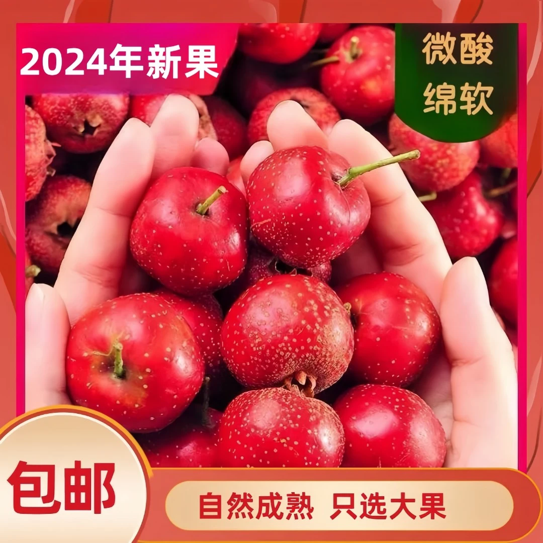 【河北特产】大金星山楂特级果山里红产地直发个大绵软微酸软糯新鲜