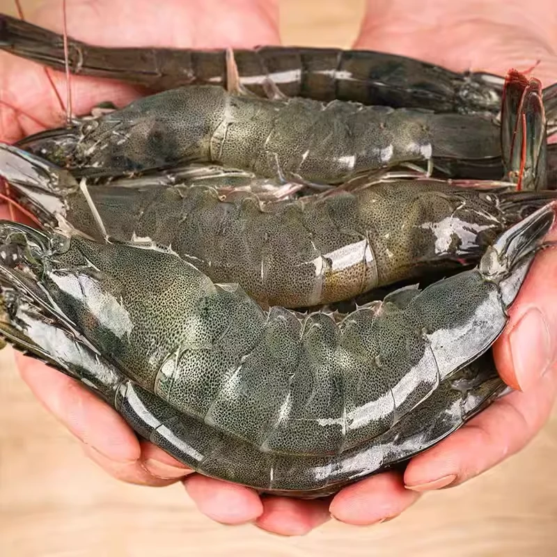 新鲜大虾海虾对虾海鲜水产鲜活青虾超大冻虾白虾盐冻顺丰
