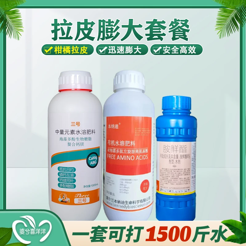 喜洋洋柑桔膨大果实拉皮细皮配方