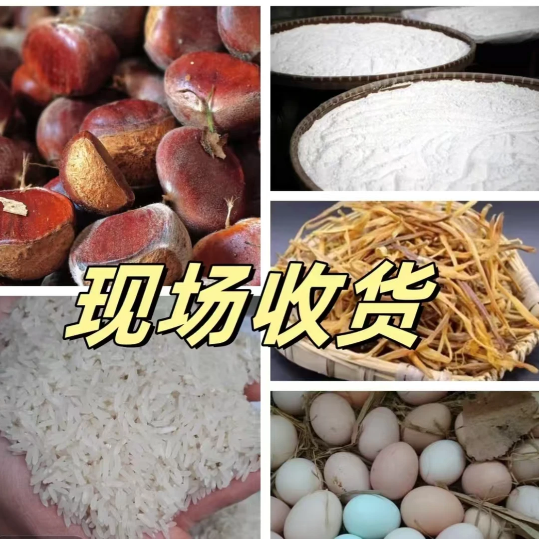 蔬菜助农直播 一物一拍《建哥专属》