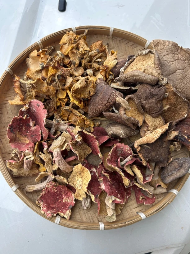 各类野生菌野羊肚菌野鸡油菌野红菇100克