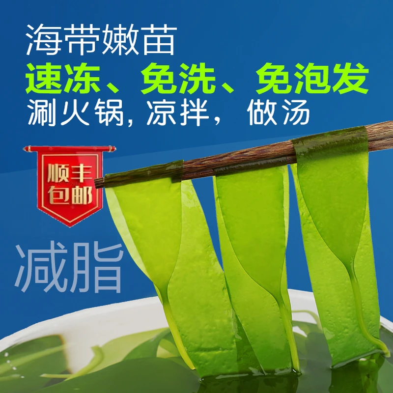 免泡发速冻海带苗霞浦海带特产火锅伴侣凉拌海带汤2250克（9x250g）