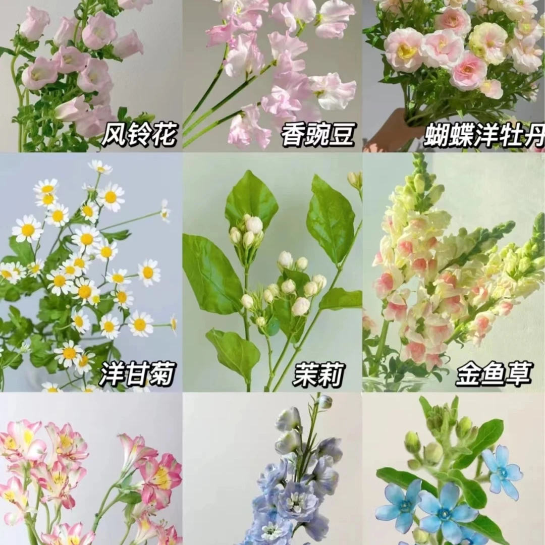 任意一扎花花