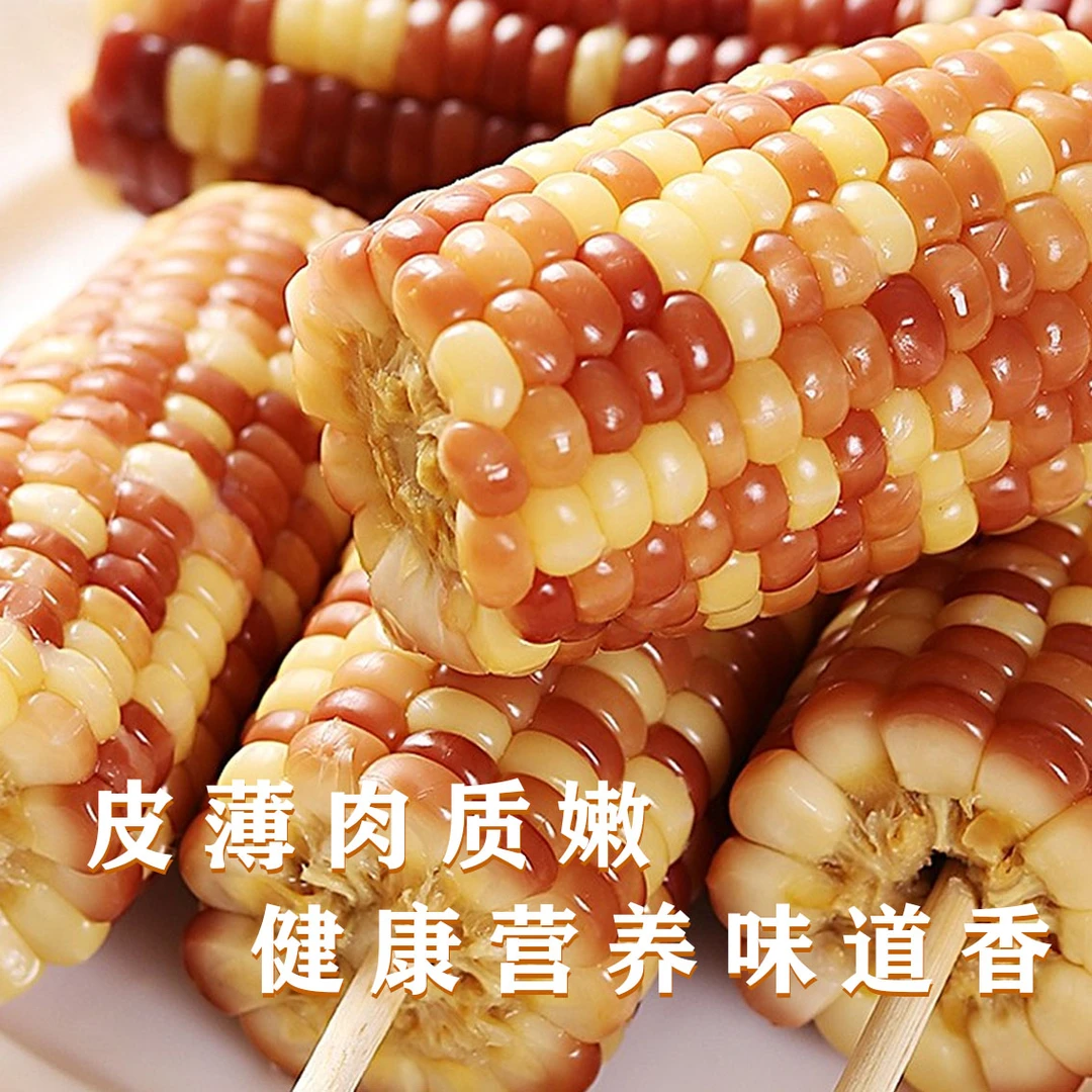 西双版纳花糯玉米【单根150g，低脂粗粮 健康代餐】甜糯饱满美味